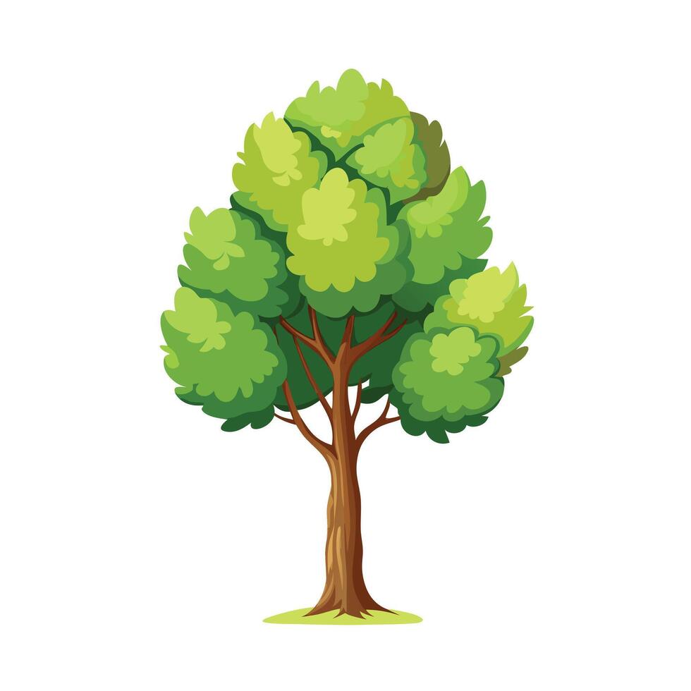 Beautiful Single Big Tree Illustration vector