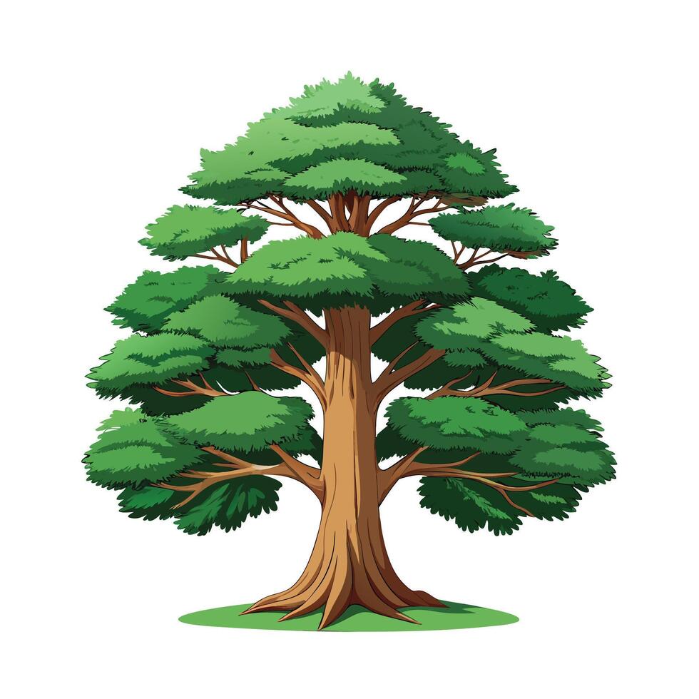 Beautiful Single Big Tree Illustration vector
