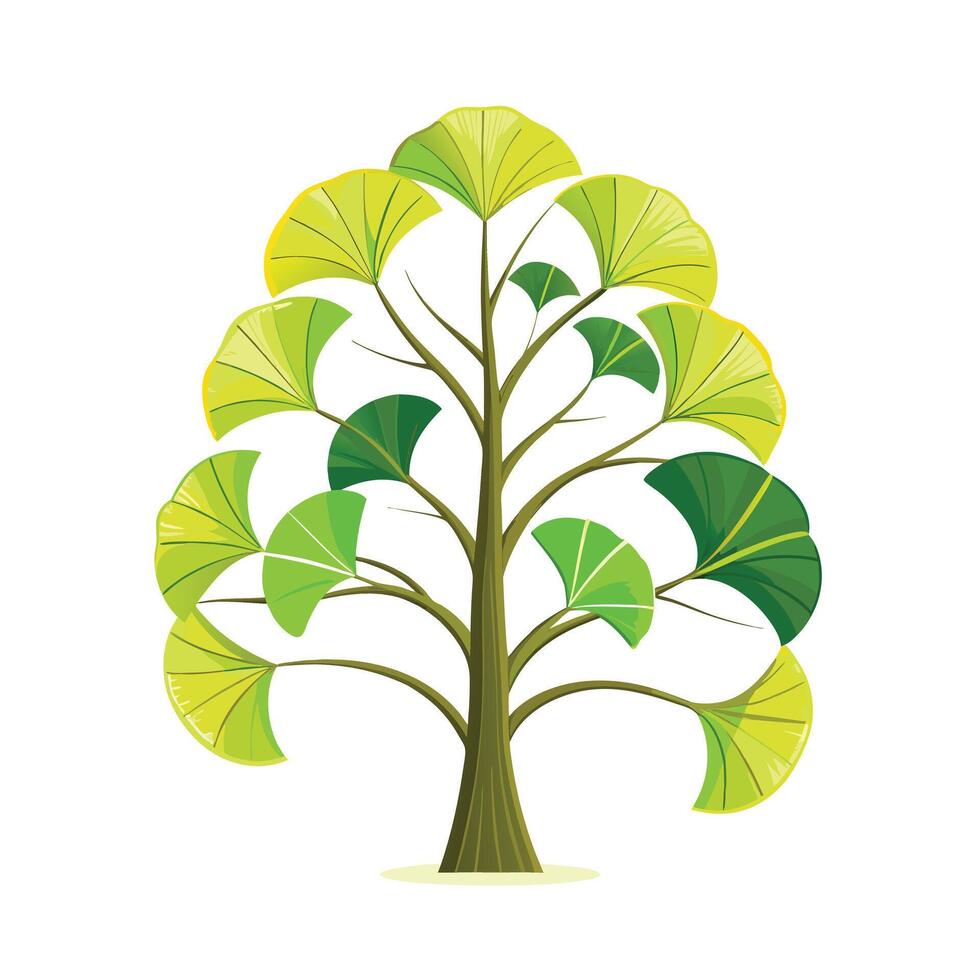 Beautiful Single Big Tree Illustration vector