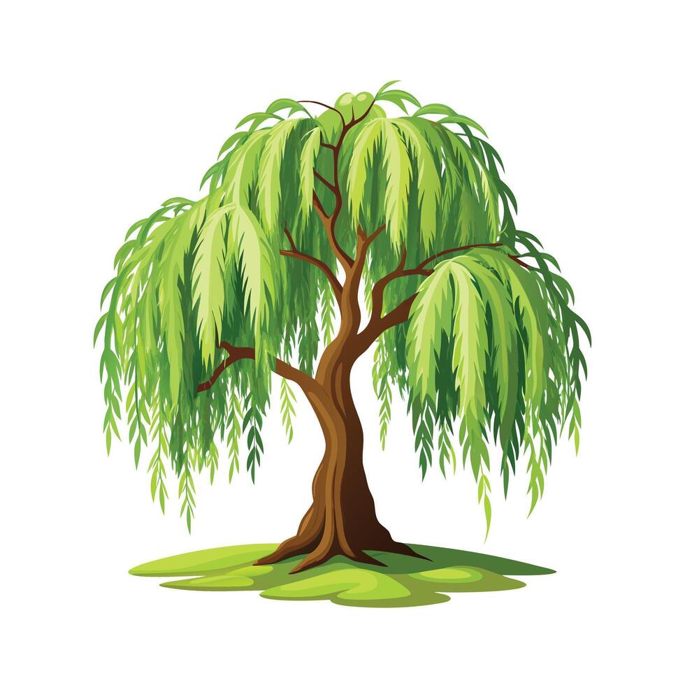 Beautiful Single Big Tree Illustration vector