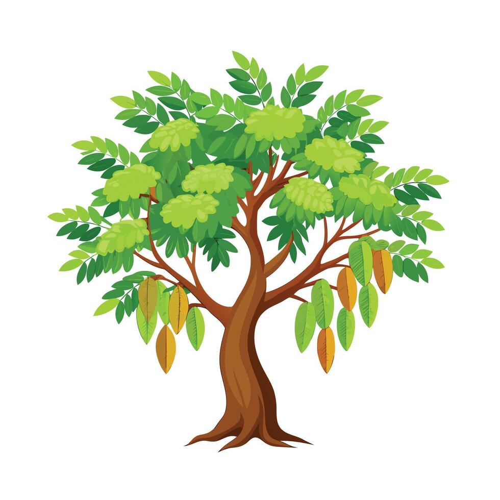 Beautiful Single Big Tree Illustration vector