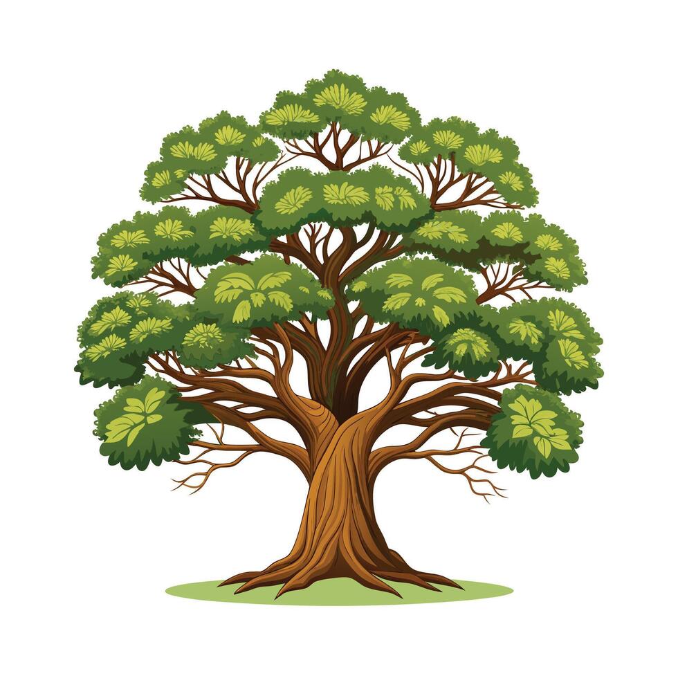 Beautiful Single Big Tree Illustration vector