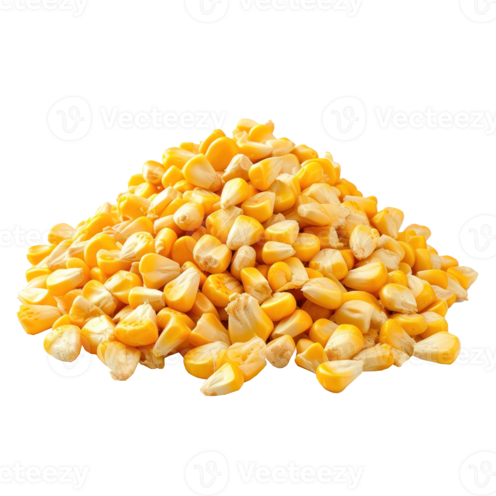 corn on the cob png