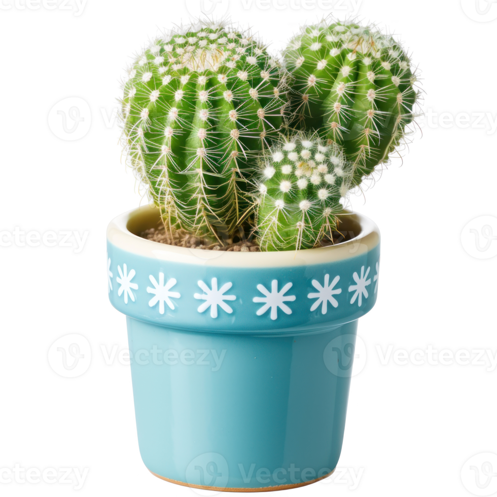 cactus plant in blue pot on transparent background png