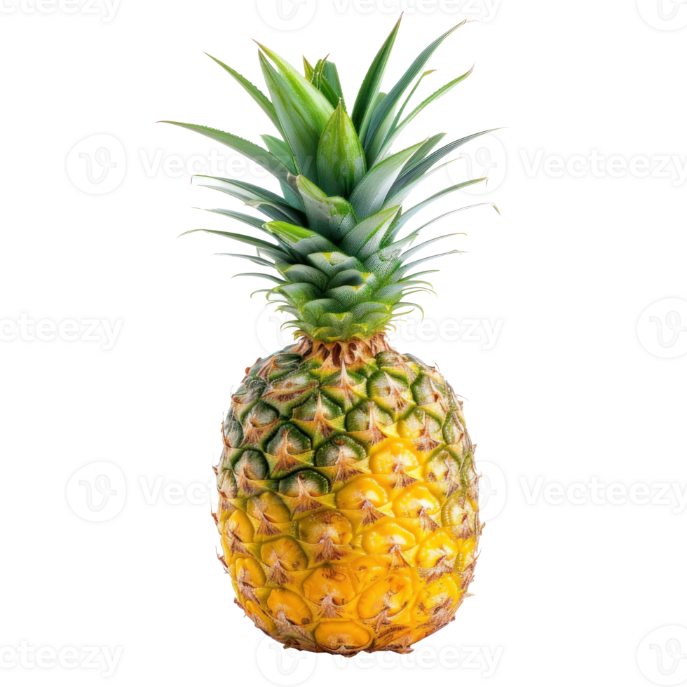 a pineapple is shown on a transparent background png