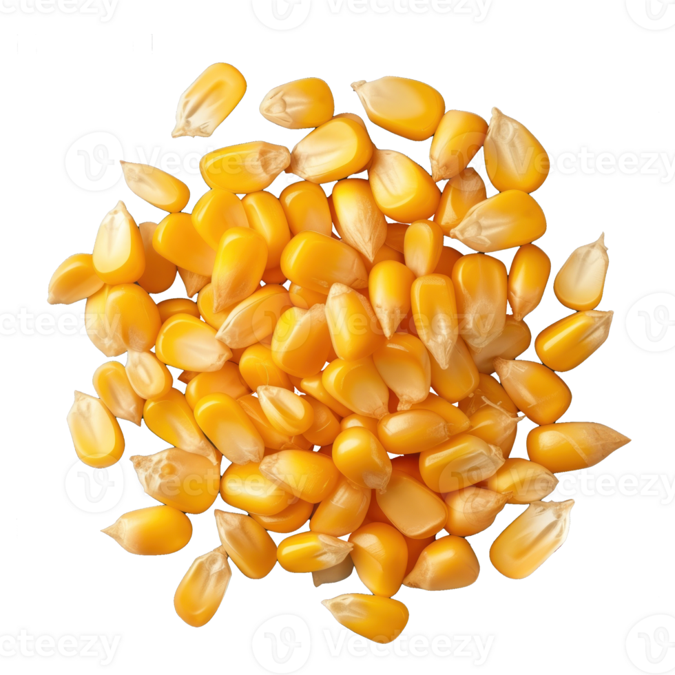 corn on a transparent background png