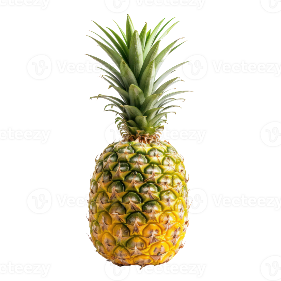 pineapple on transparent background png