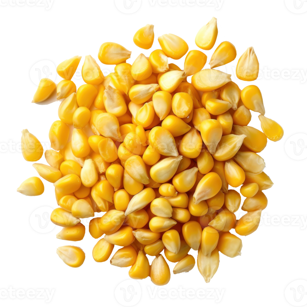 corn on a transparent background png