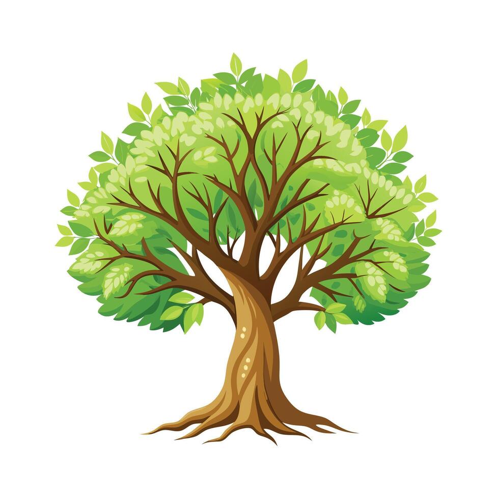Beautiful Single Big Tree Illustration vector