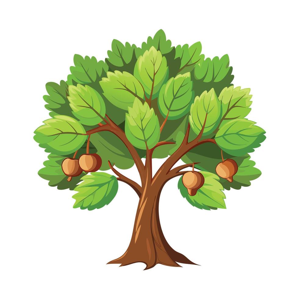 Beautiful Single Big Tree Illustration vector