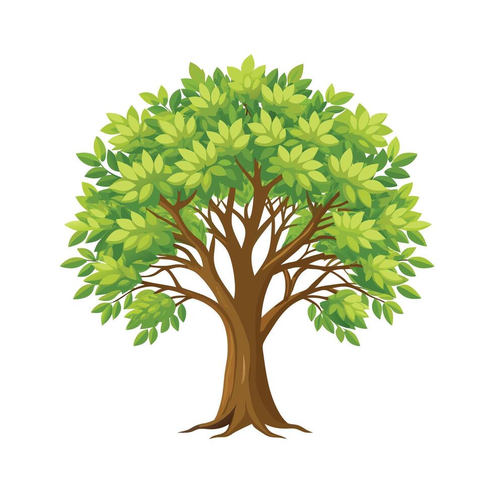 Beautiful Single Big Tree Illustration vector