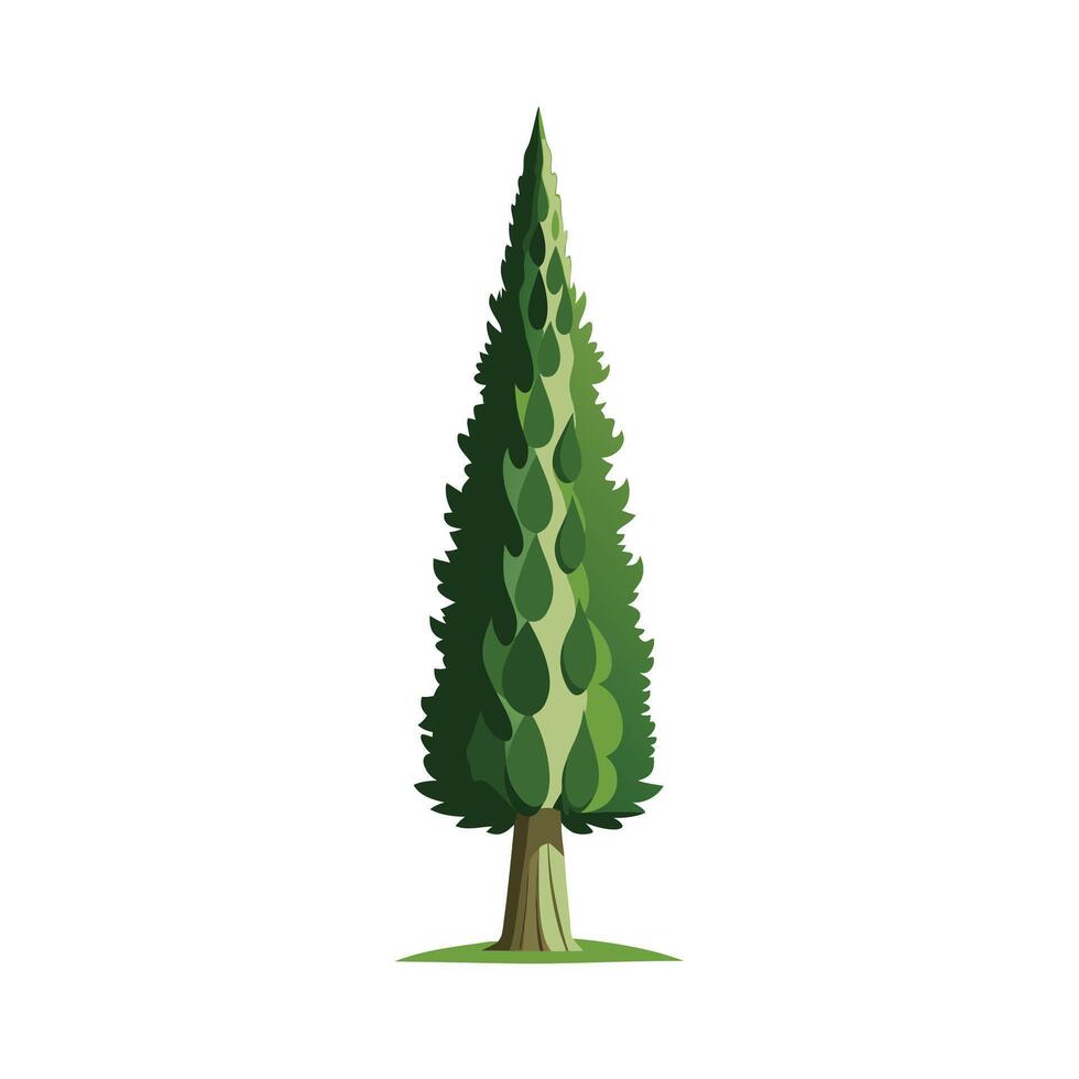 Beautiful Single Big Tree Illustration vector