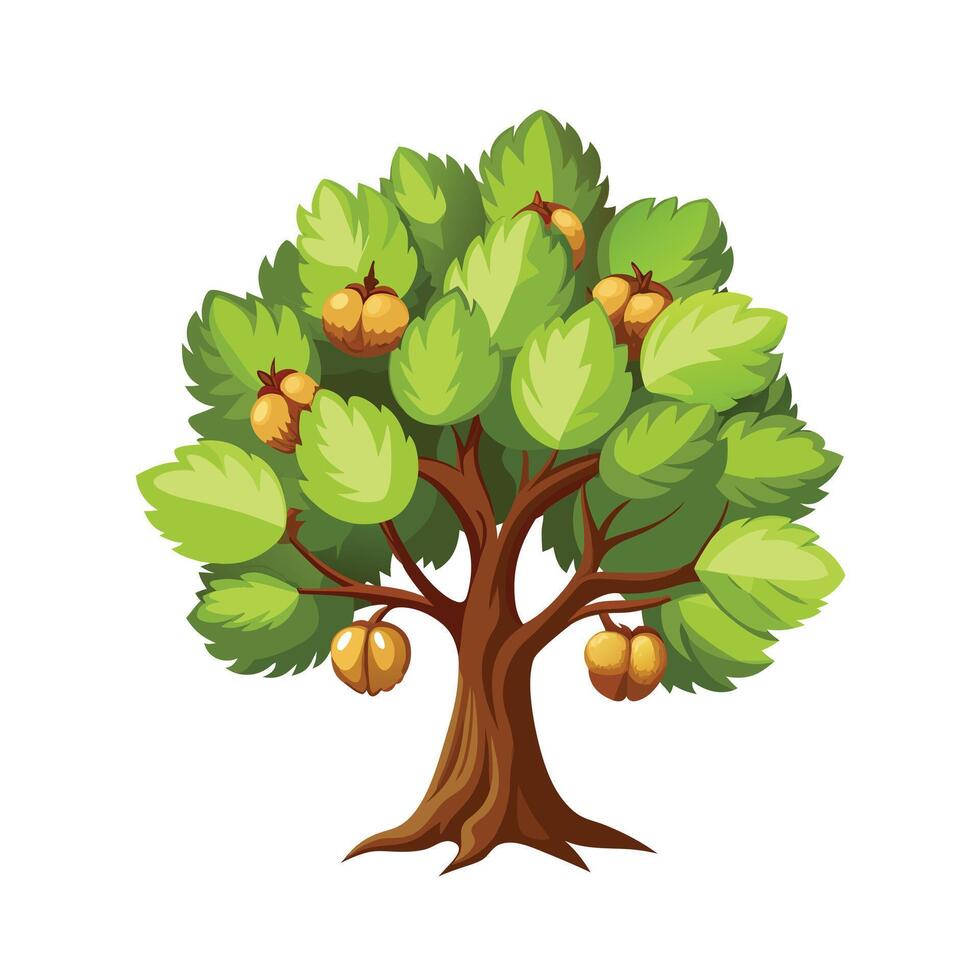 Beautiful Single Big Tree Illustration vector