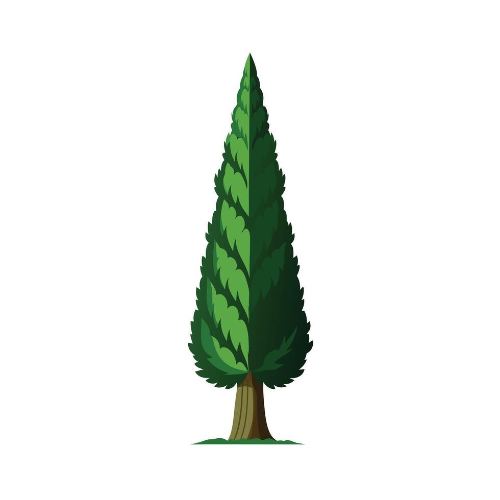 Beautiful Single Big Tree Illustration vector