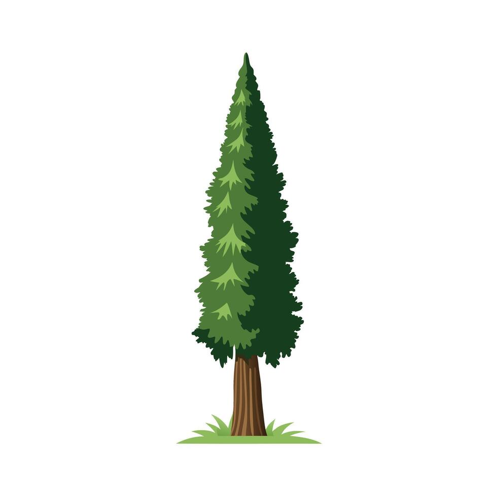 Beautiful Single Big Tree Illustration vector