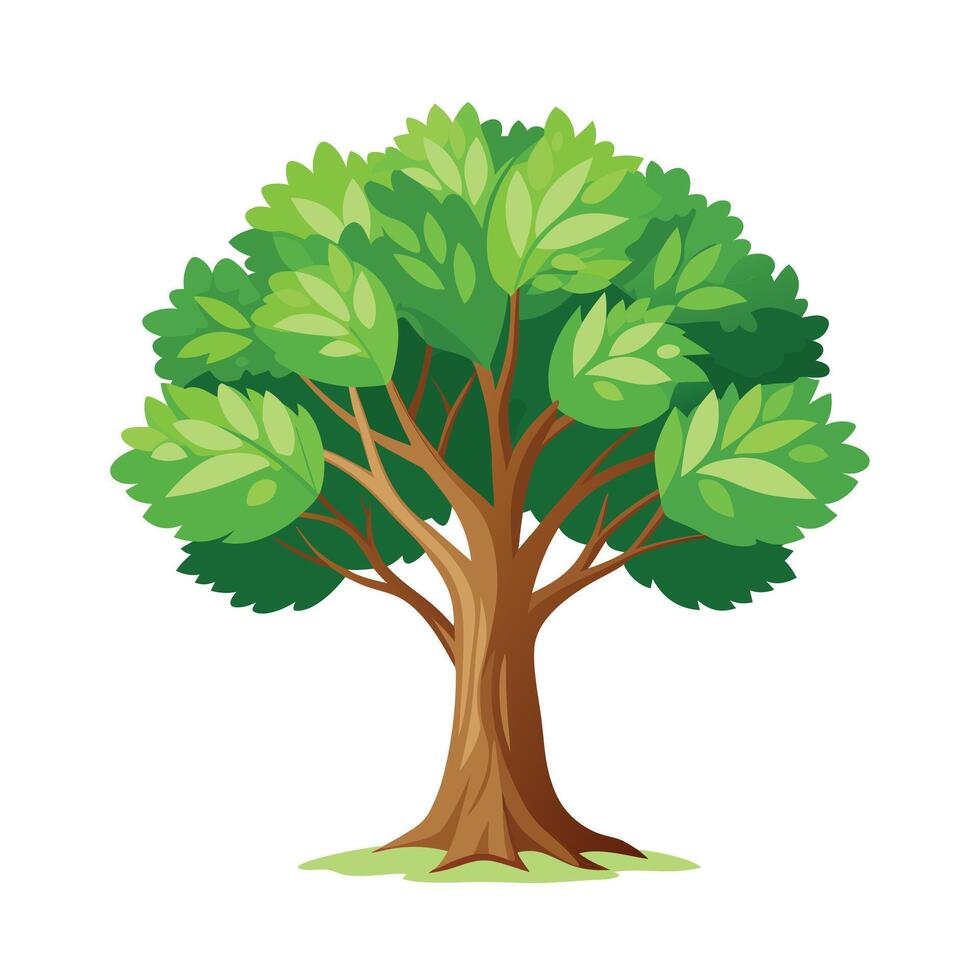 Beautiful Single Big Tree Illustration vector