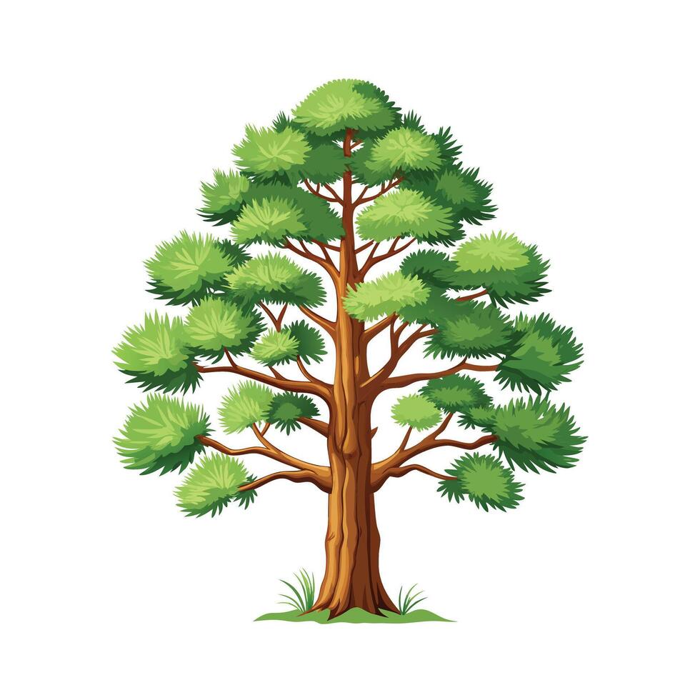 Beautiful Single Big Tree Illustration vector