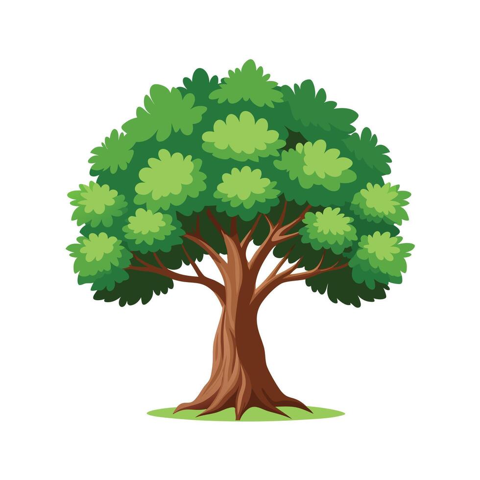 Beautiful Single Big Tree Illustration vector