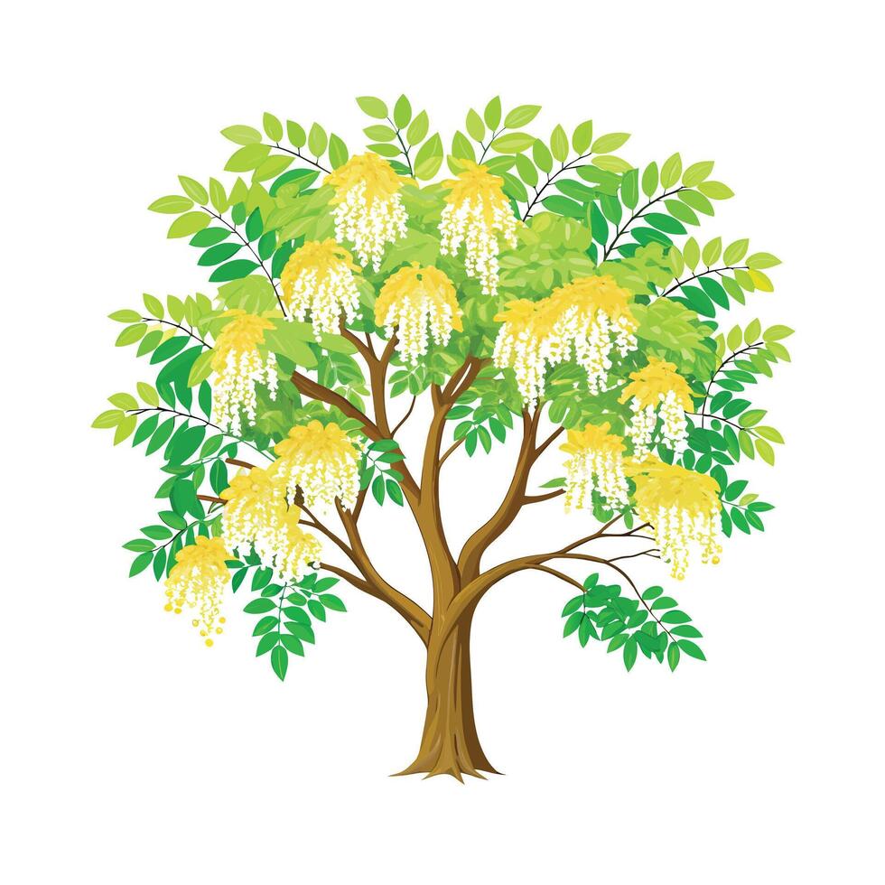 Beautiful Single Big Tree Illustration vector