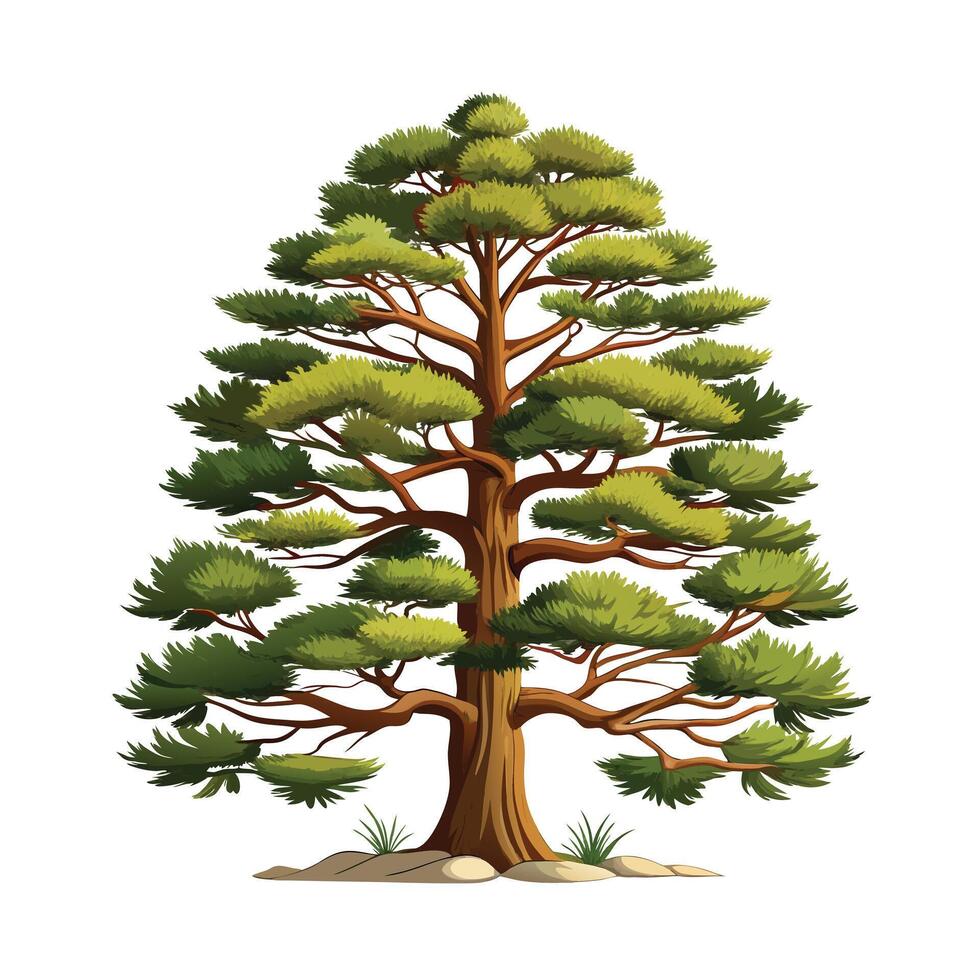 Beautiful Single Big Tree Illustration vector