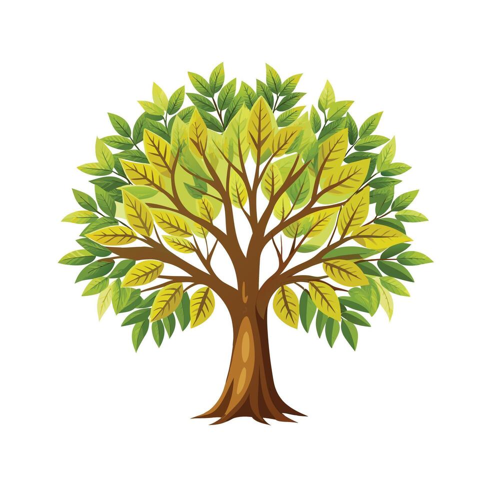 Beautiful Single Big Tree Illustration vector