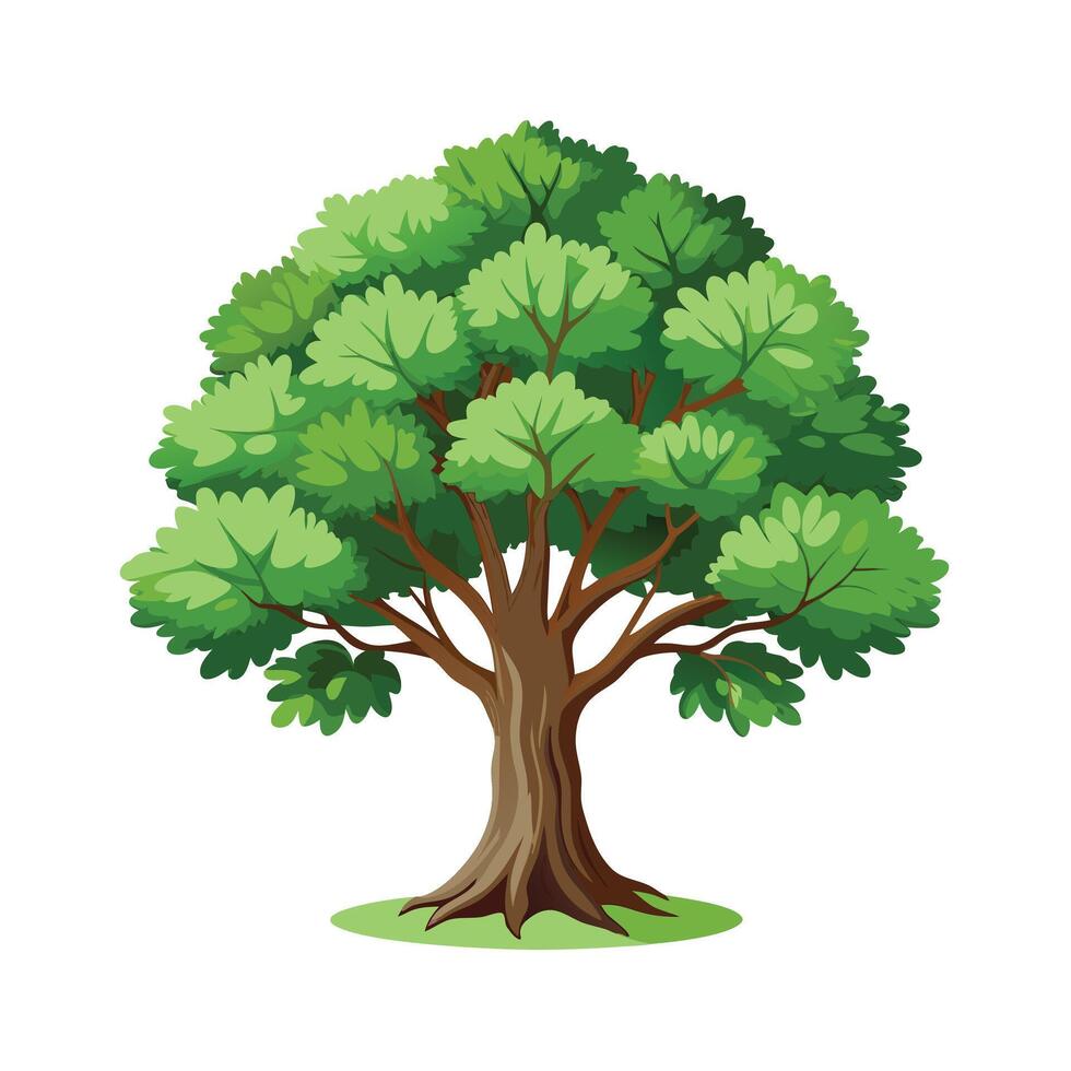 Beautiful Single Big Tree Illustration vector