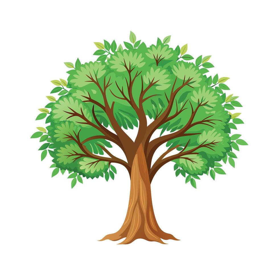 Beautiful Single Big Tree Illustration vector