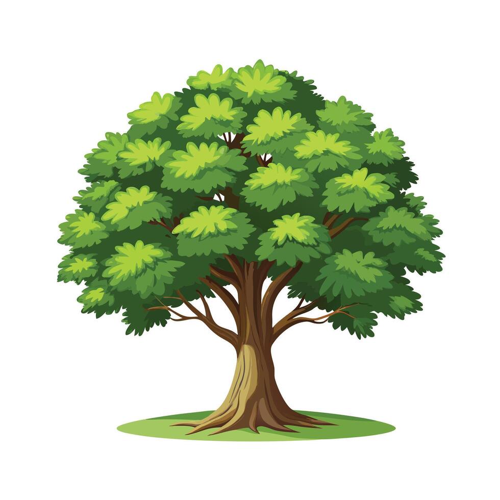 Beautiful Single Big Tree Illustration vector