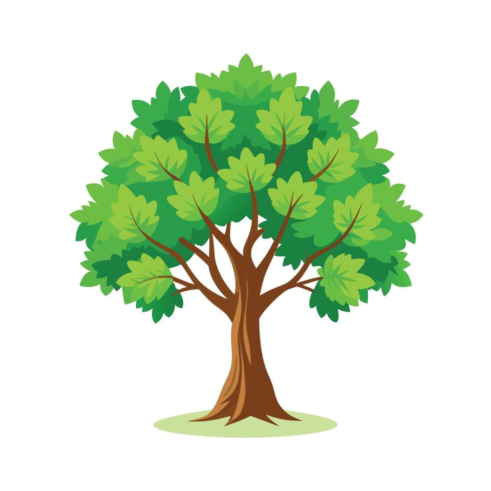 Beautiful Single Big Tree Illustration vector