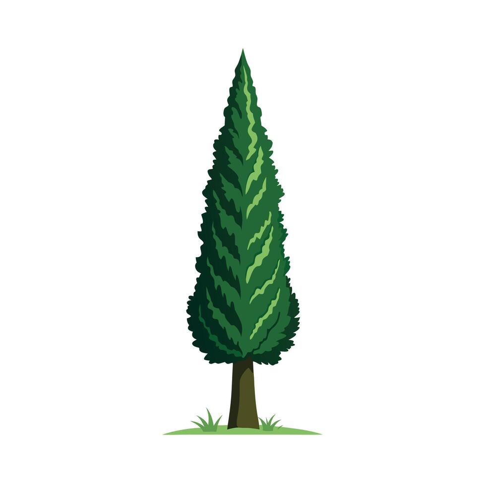 Beautiful Single Big Tree Illustration vector