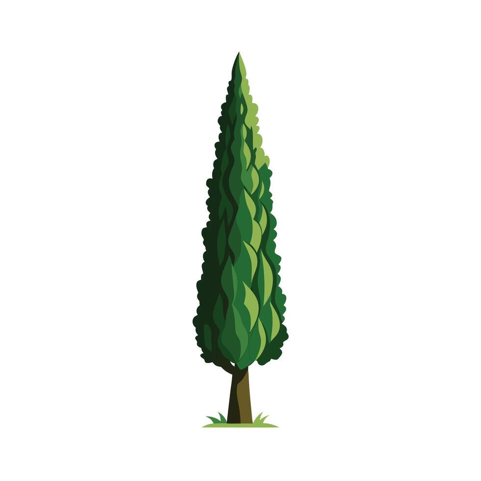 Beautiful Single Big Tree Illustration vector