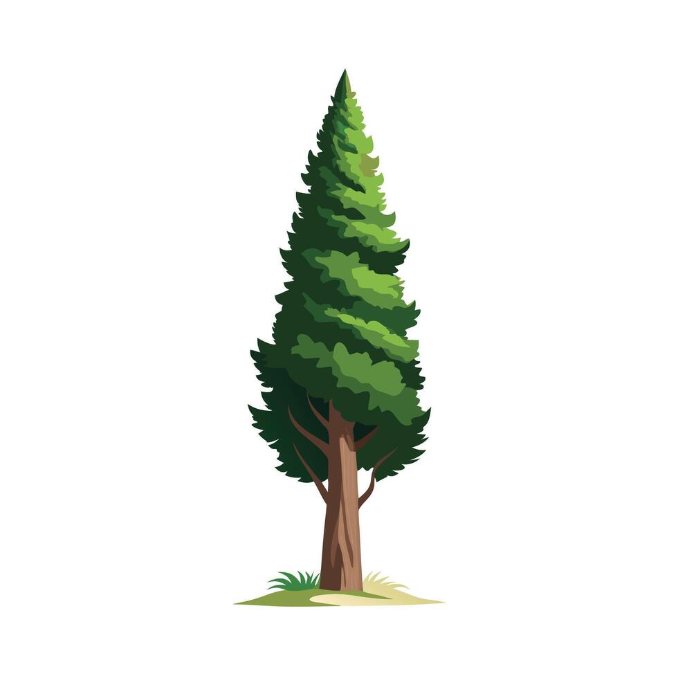 Beautiful Single Big Tree Illustration vector