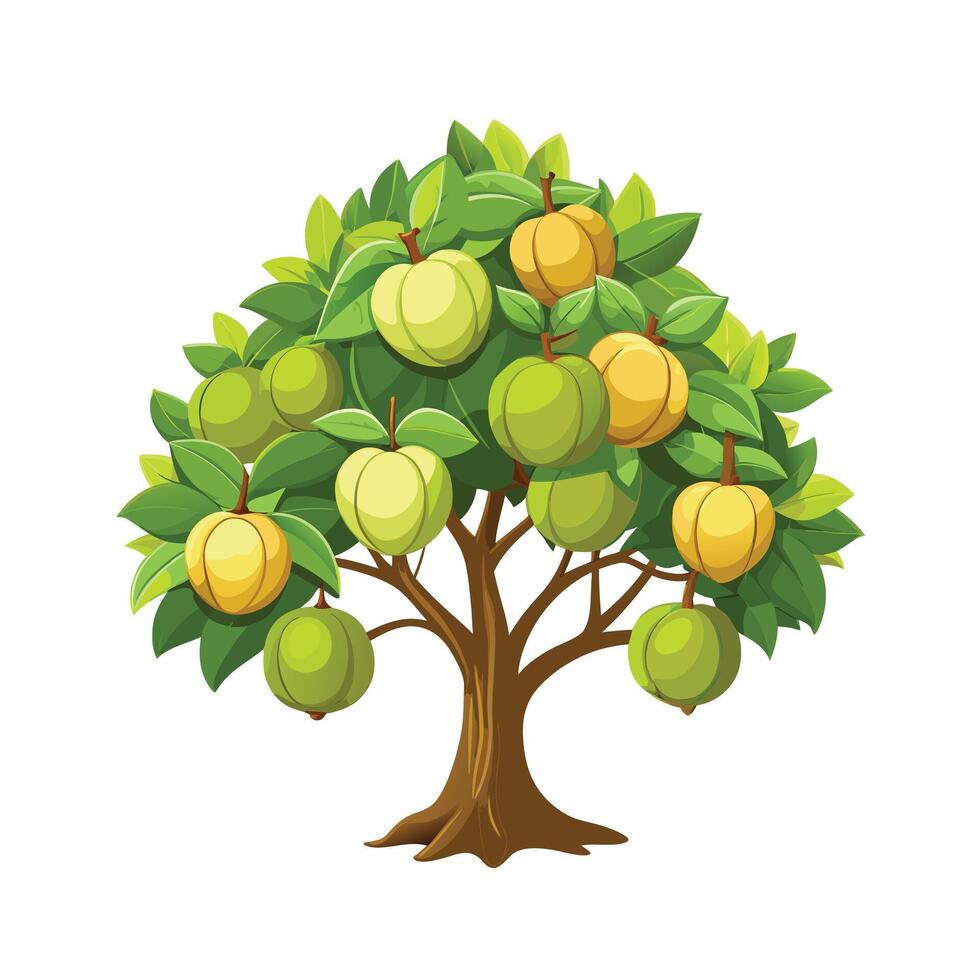 Beautiful Single Big Tree Illustration vector