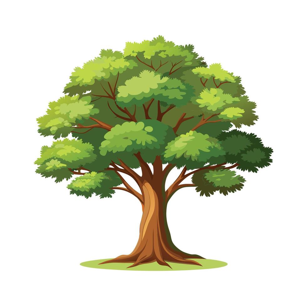 Beautiful Single Big Tree Illustration vector