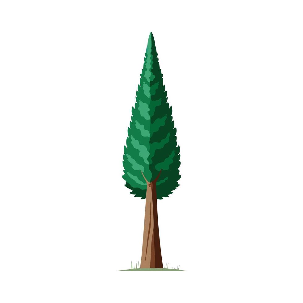 Beautiful Single Big Tree Illustration vector