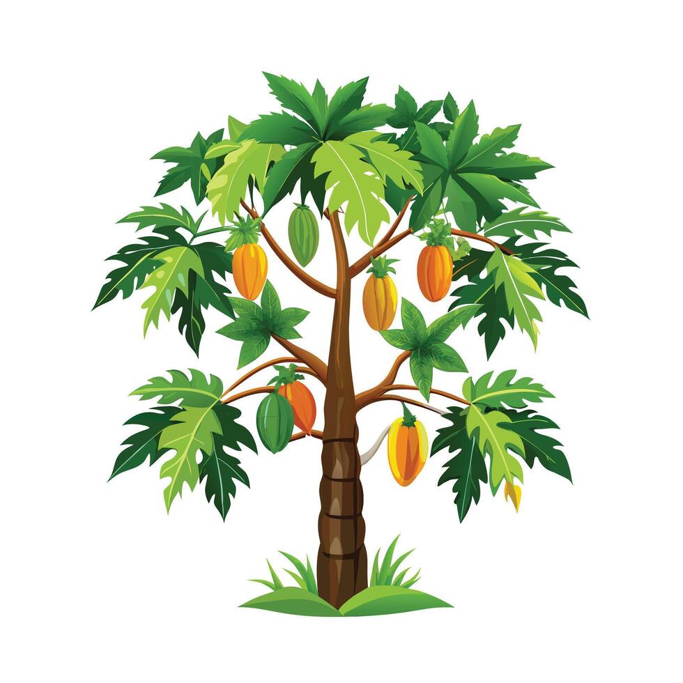Beautiful Single Big Tree Illustration vector
