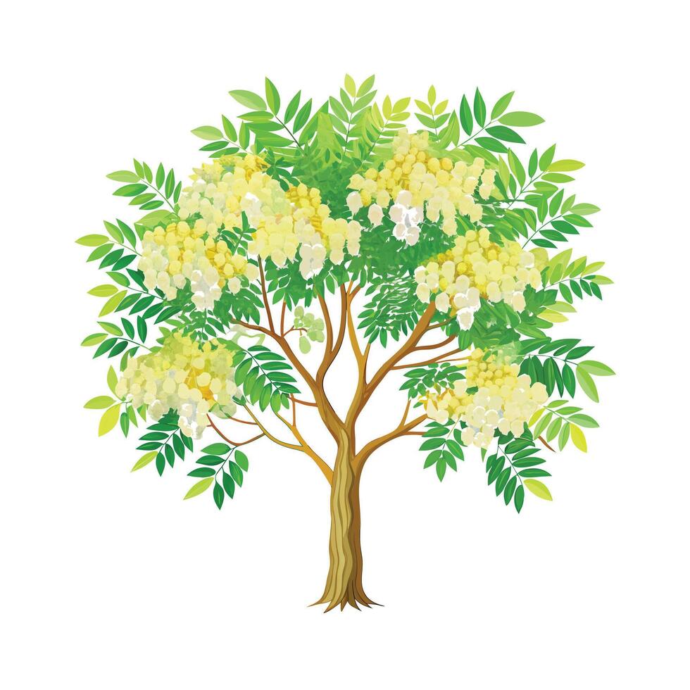 Beautiful Single Big Tree Illustration vector