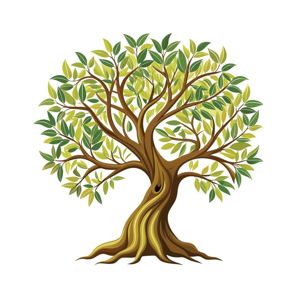 Beautiful Single Big Tree Illustration vector