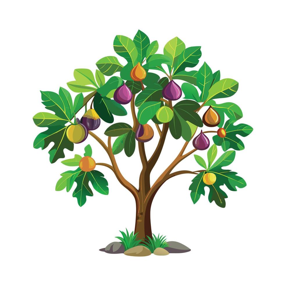 Beautiful Single Big Tree Illustration vector