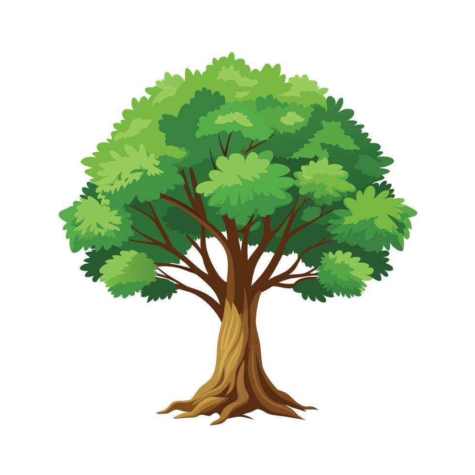 Beautiful Single Big Tree Illustration vector