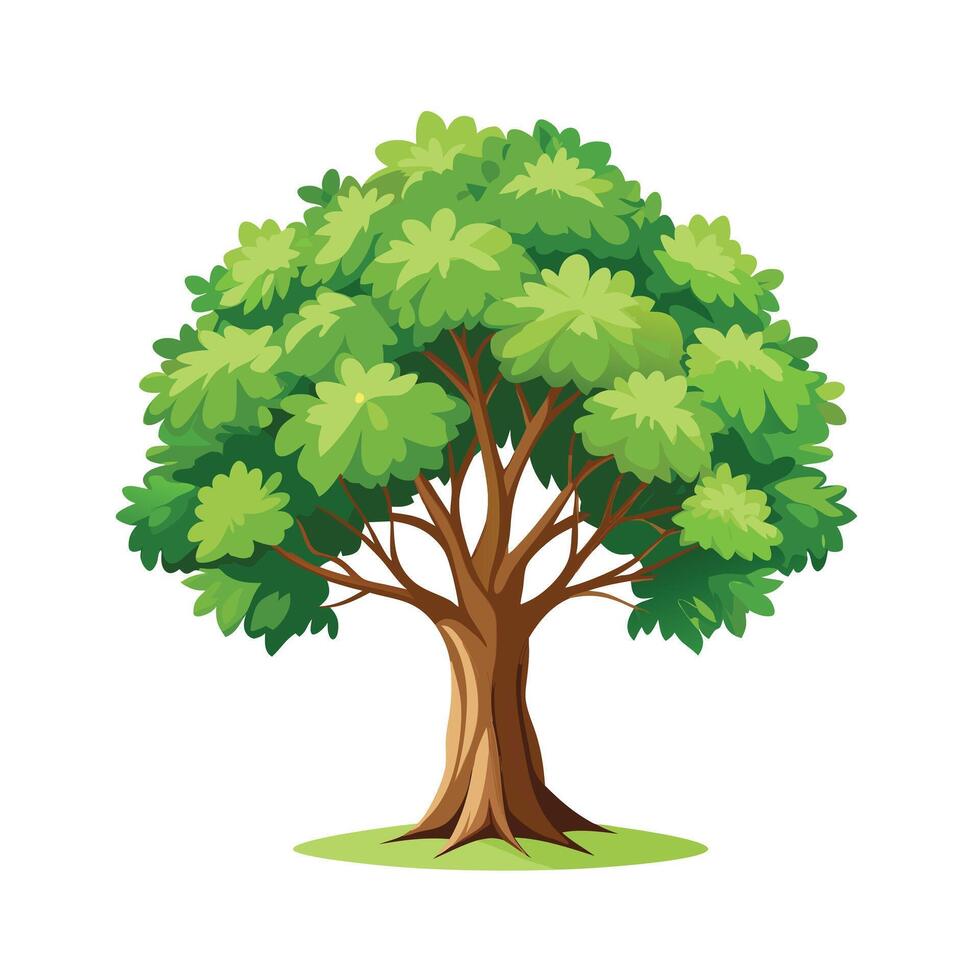 Beautiful Single Big Tree Illustration vector