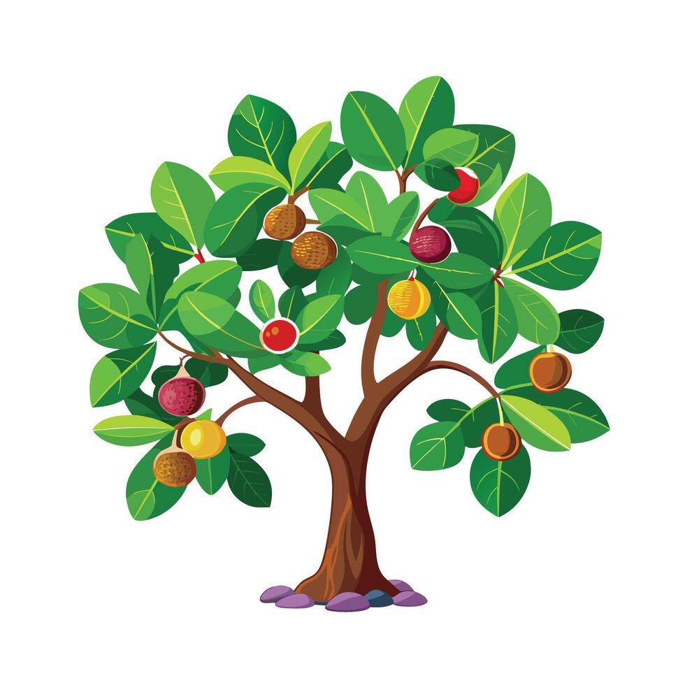 Beautiful Single Big Tree Illustration vector