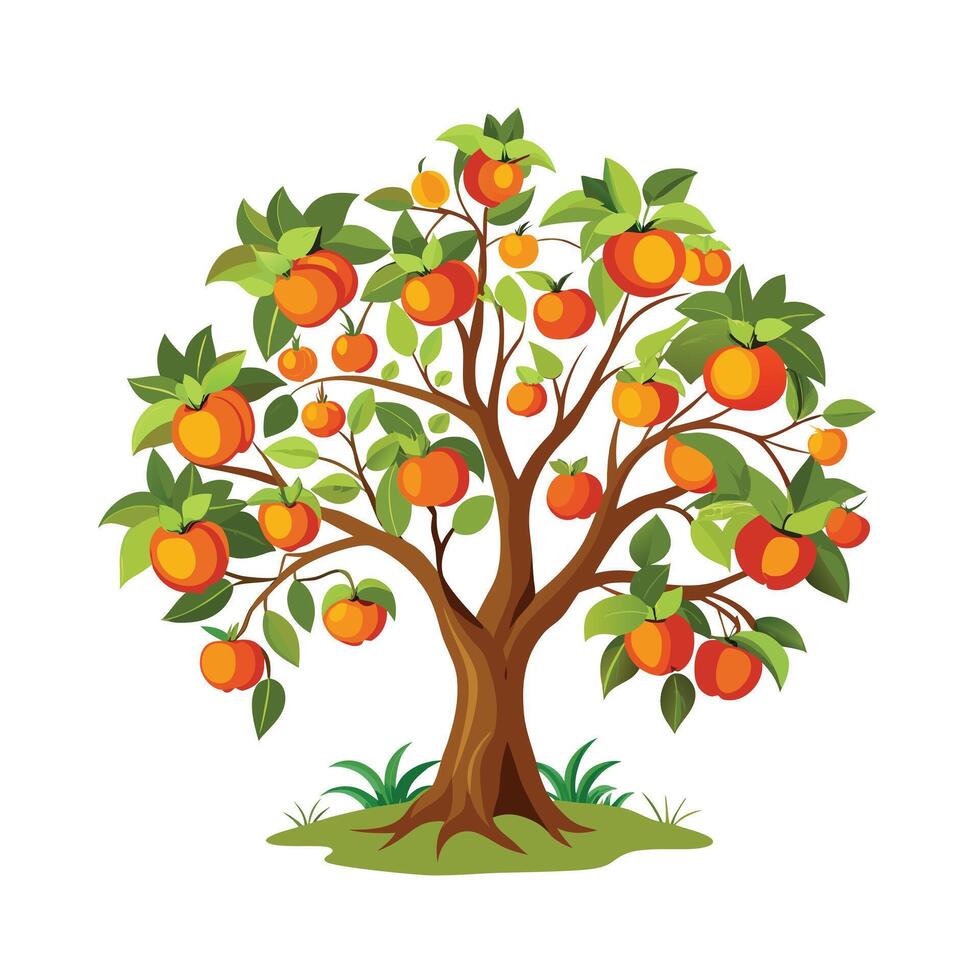 Beautiful Single Big Tree Illustration vector