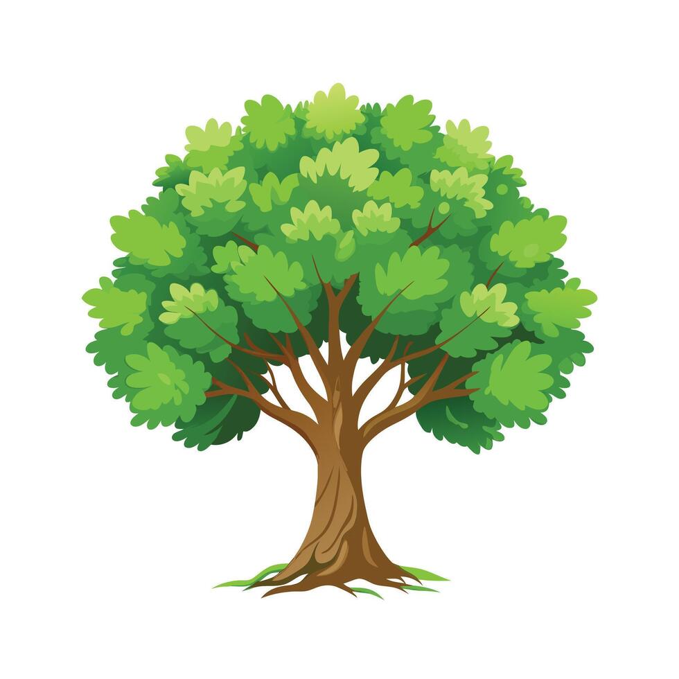 Beautiful Single Big Tree Illustration vector