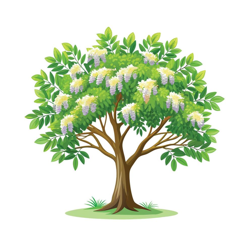 Beautiful Single Big Tree Illustration vector