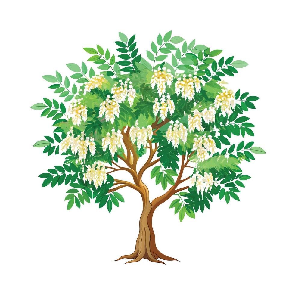 Beautiful Single Big Tree Illustration vector