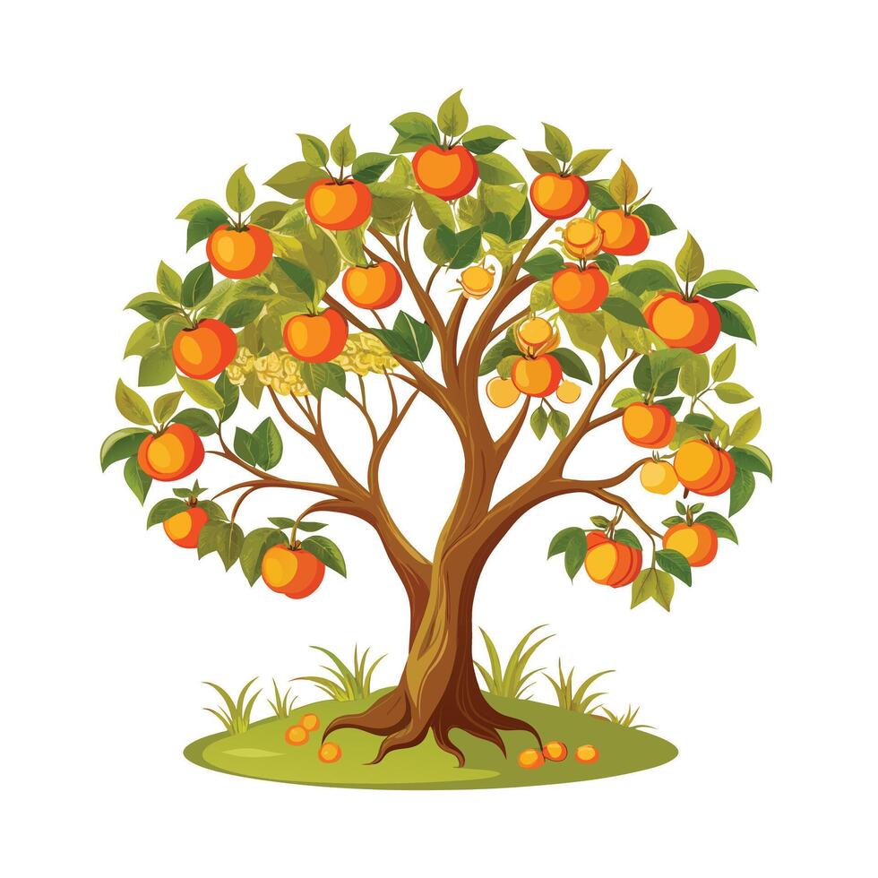 Beautiful Single Big Tree Illustration vector