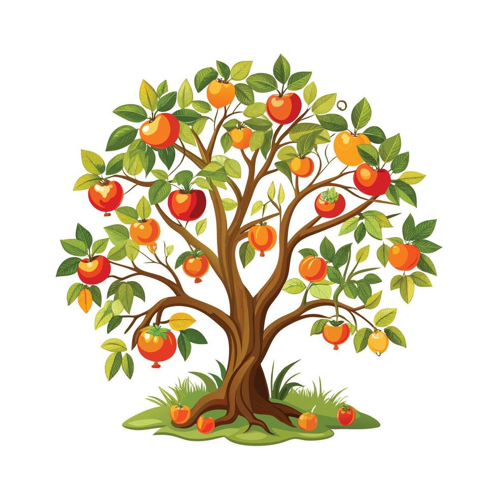 Beautiful Single Big Tree Illustration vector