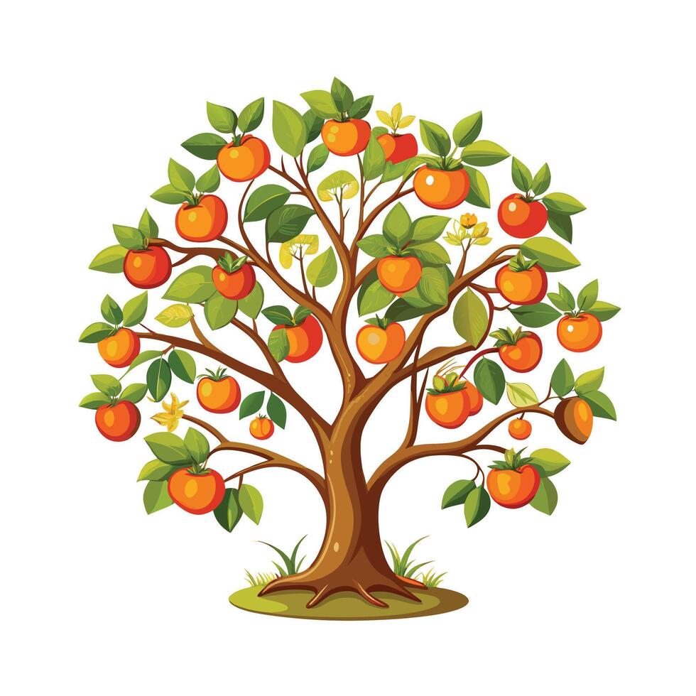Beautiful Single Big Tree Illustration vector