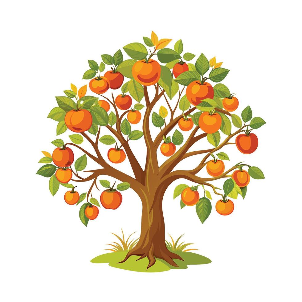 Beautiful Single Big Tree Illustration vector